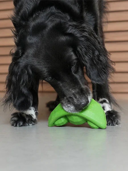 Jouet pois vert - Zee dog