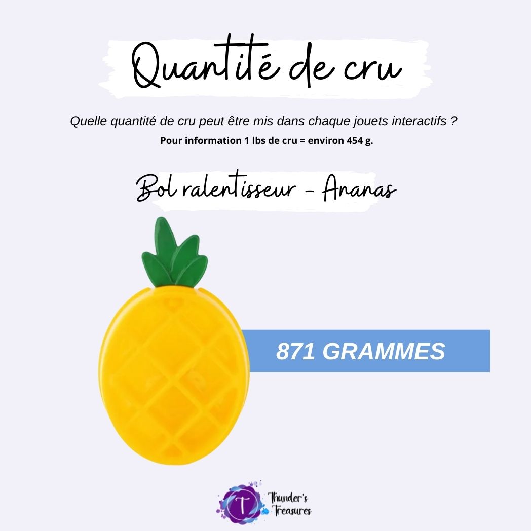 Bol ralentisseur - Ananas