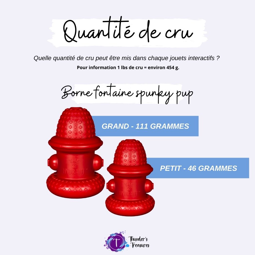 Spunky Pup borne fontaine