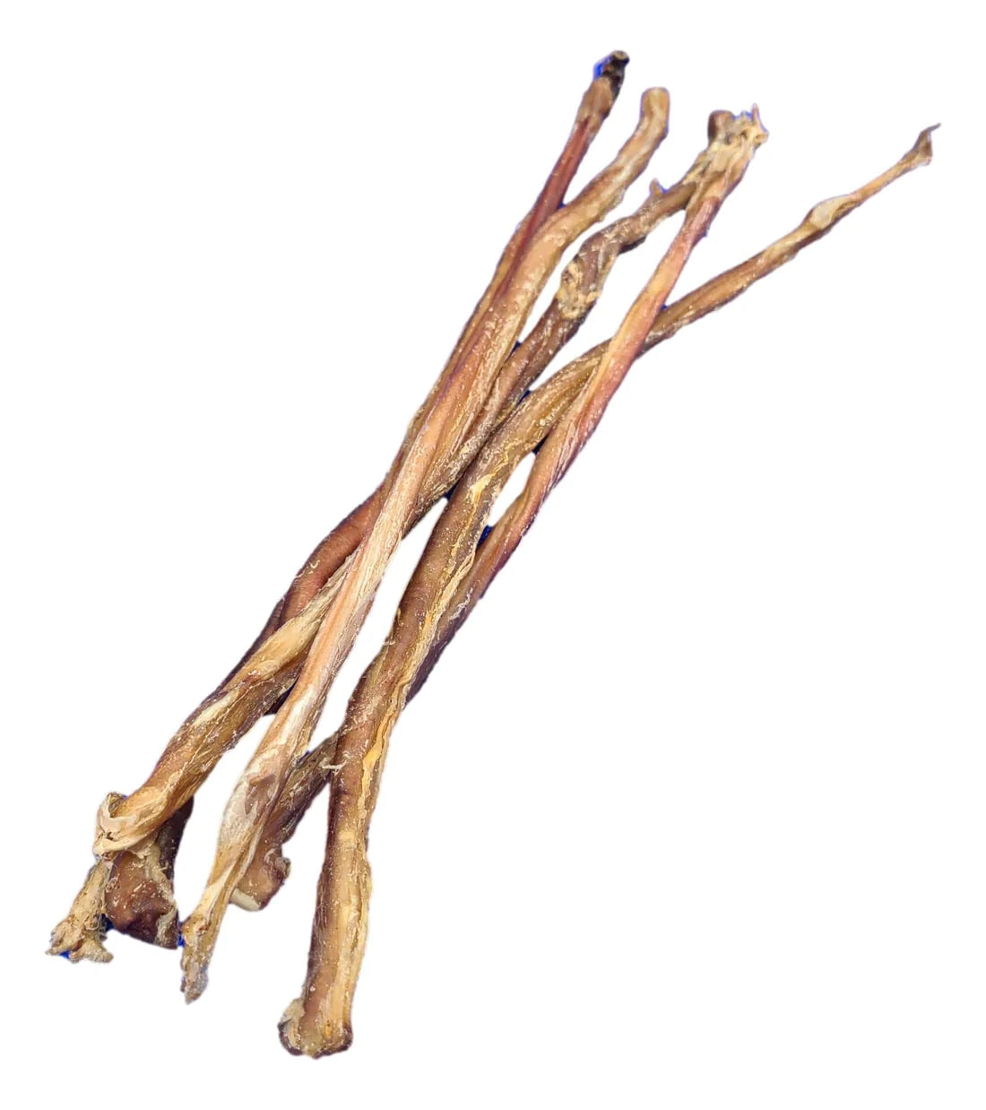 Pizzle d'agneau 9-14''