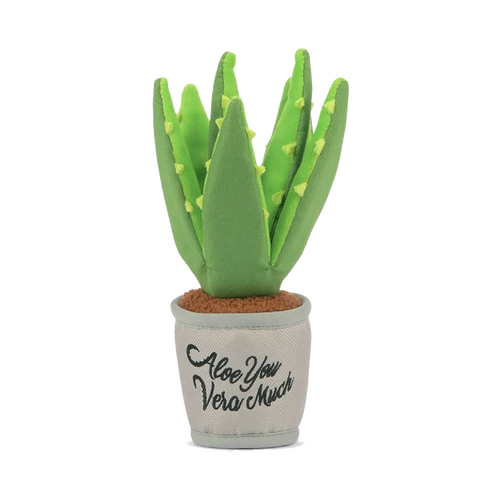 Peluche - Plante Aloès