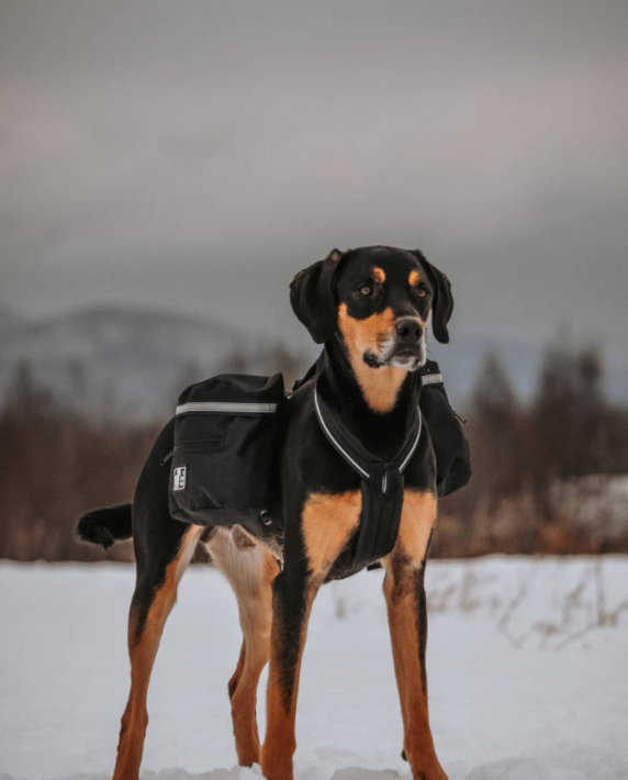 Sac à dos expédition