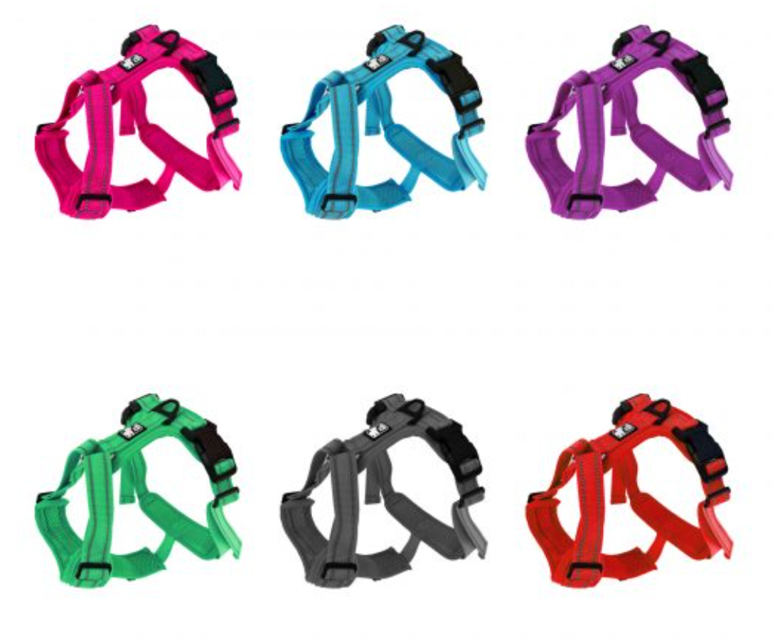 Harnais CHARLIE