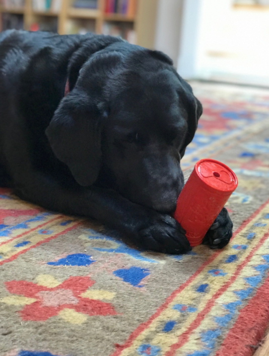 Canette de soda rétro