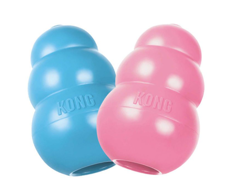 Kong pour chiot - Kong