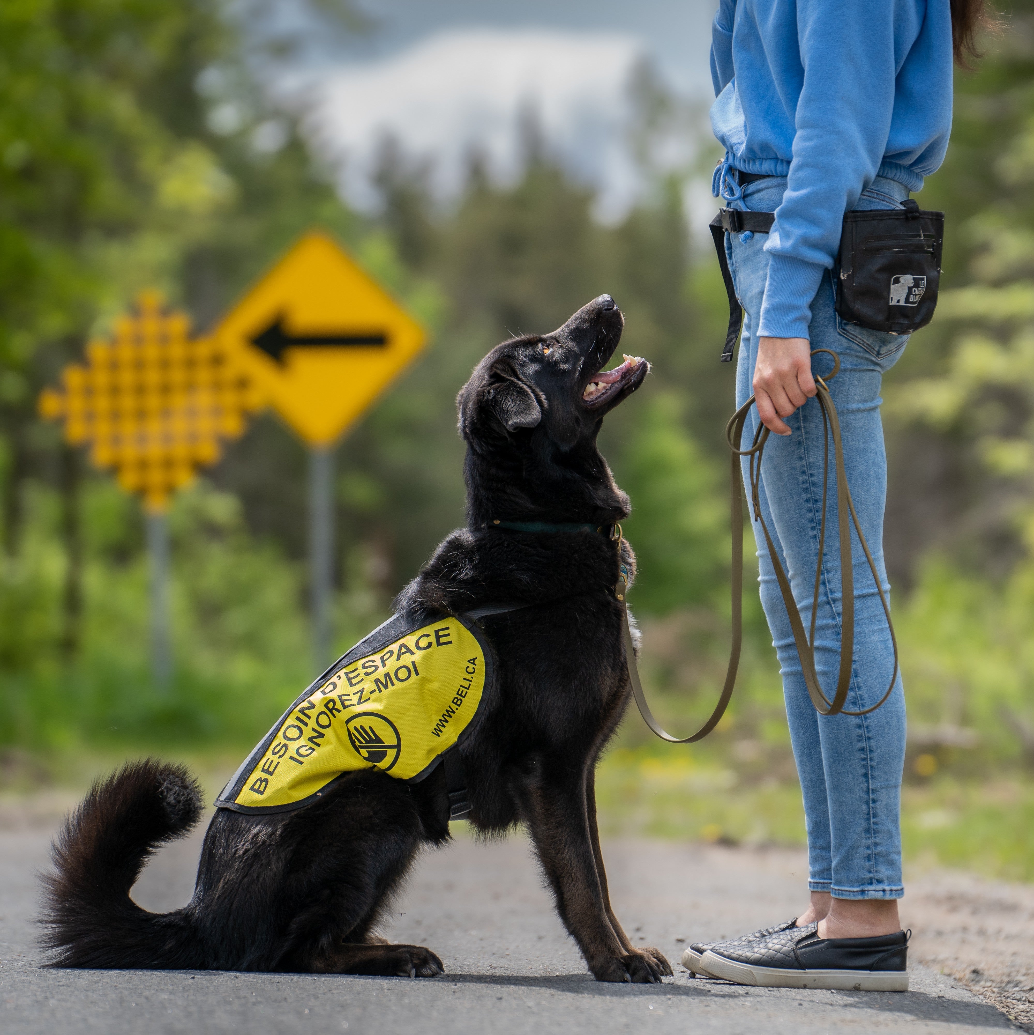 Dossard besoin d’espace BELI