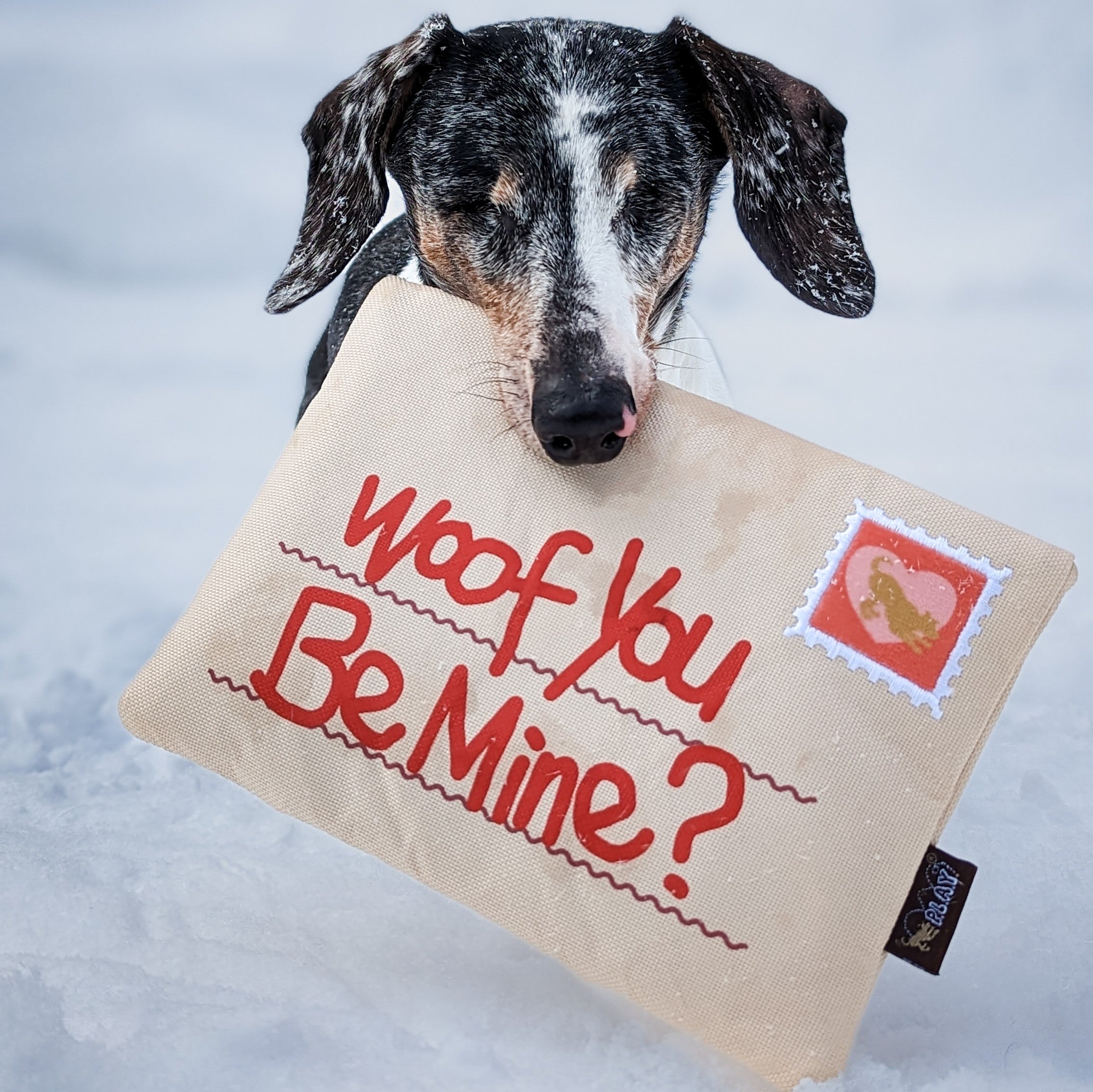 Peluche interactive "woof you be mine?" - P.L.A.Y