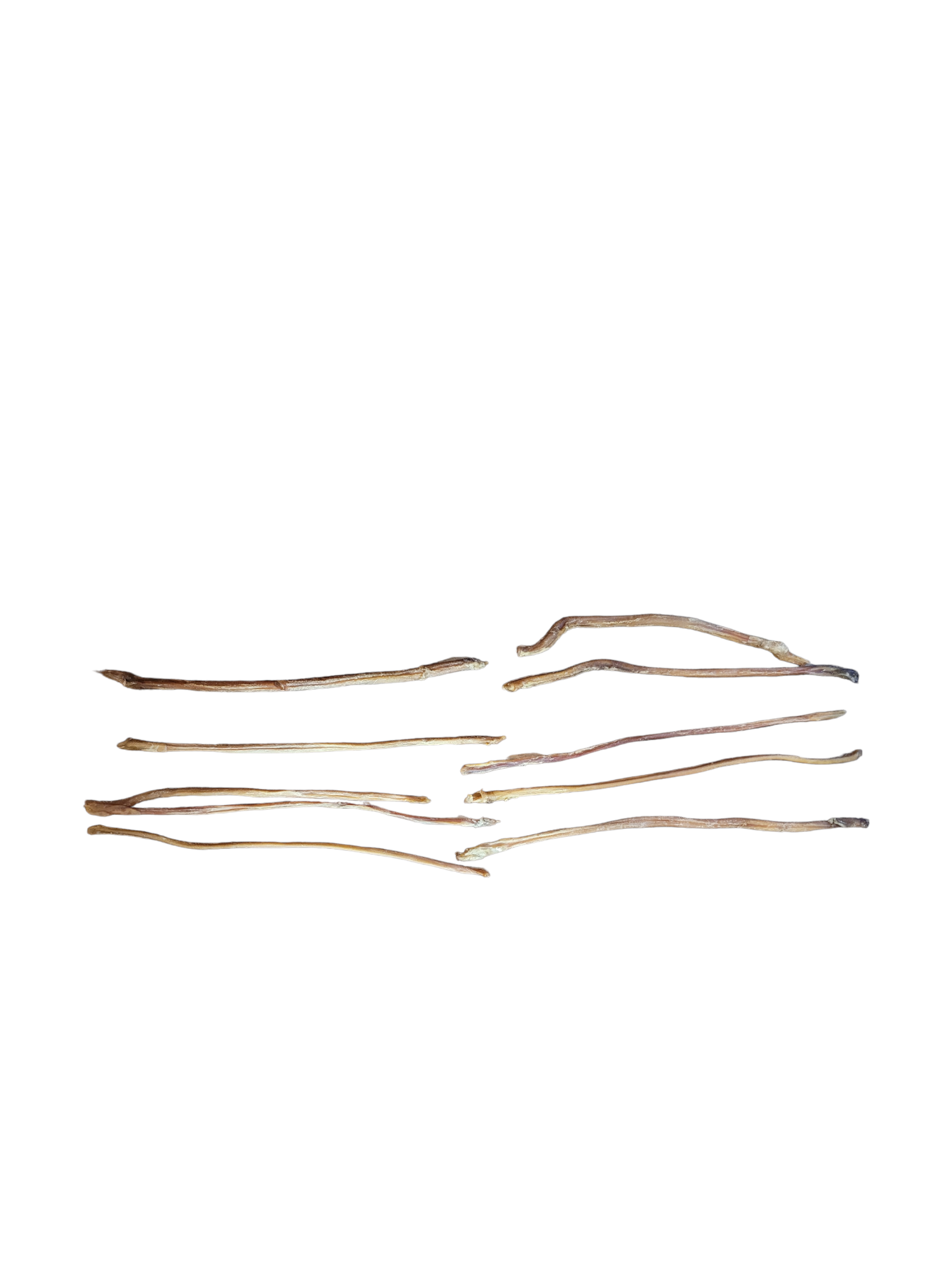 Paquet économique - Pizzle d'agneau 9-14'' IMPARFAITS(10)