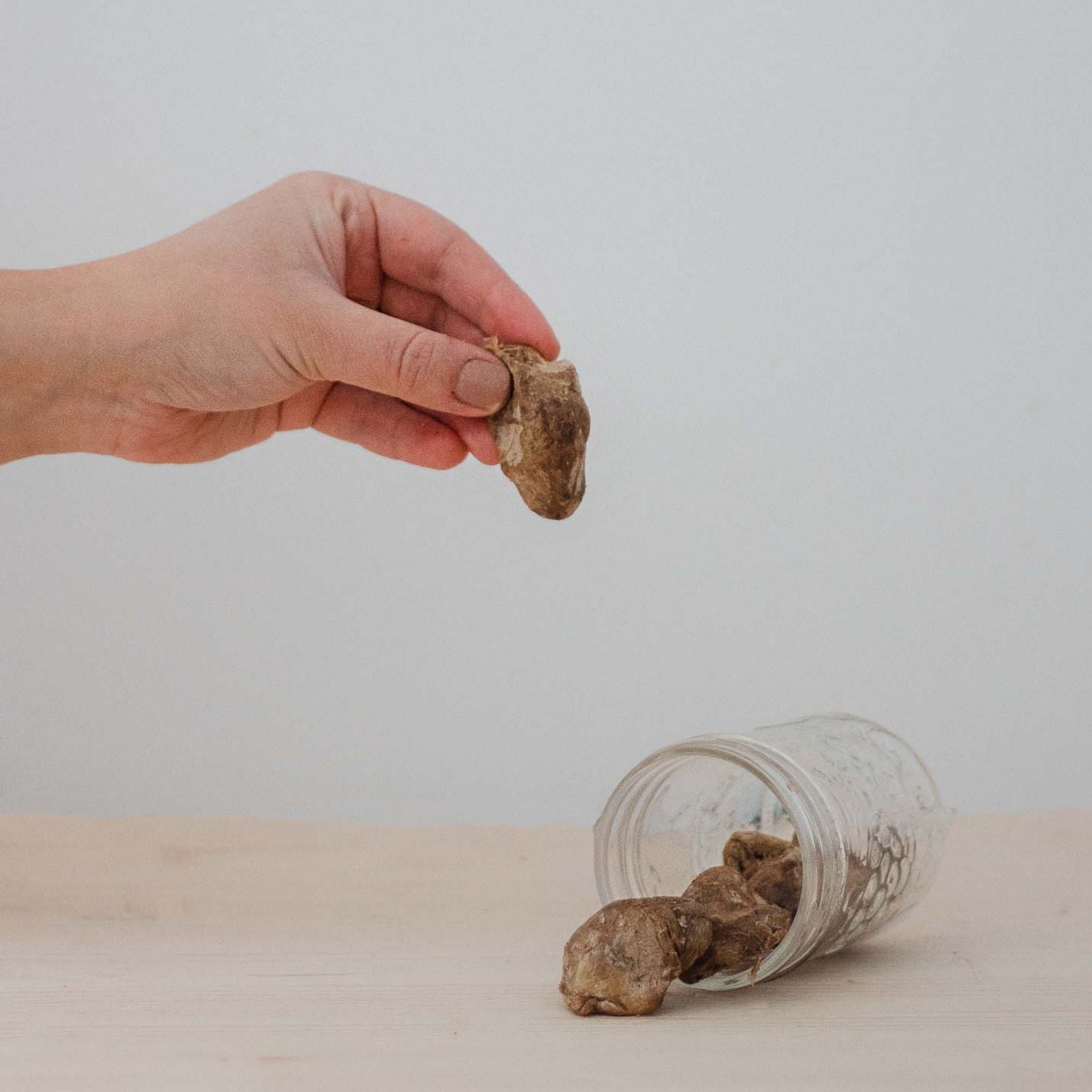 Coeur de canard lyophilisé (1)