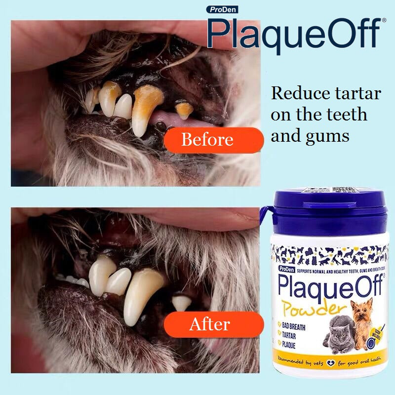 Poudre dentaire - ProDen Plaque Off