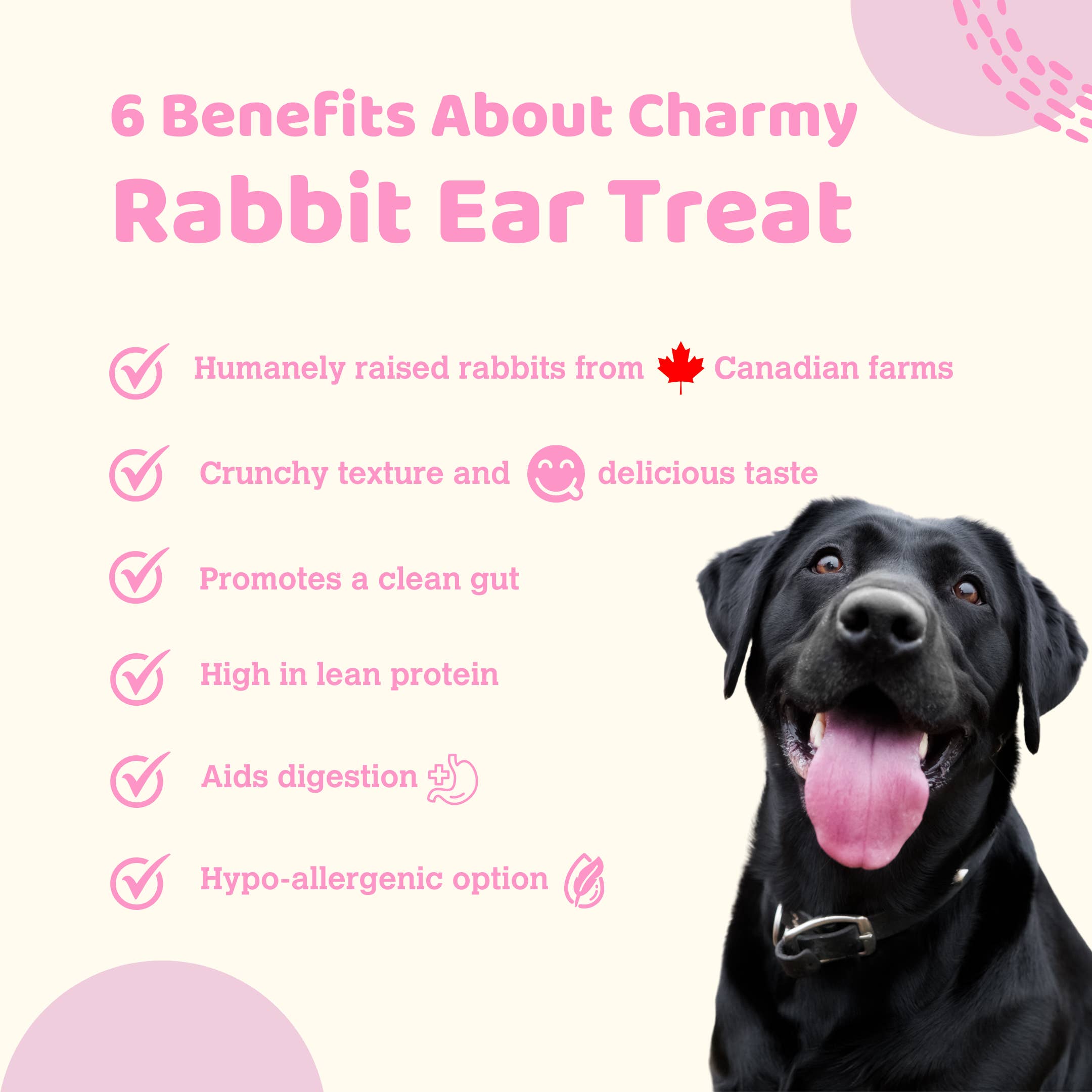 Oreille de lapin - Charmy