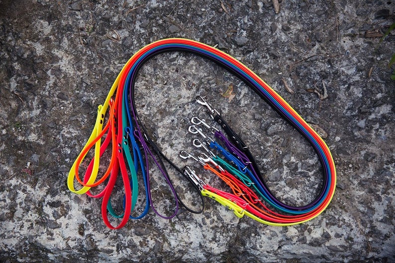 Laisse régulière - Collection Splash