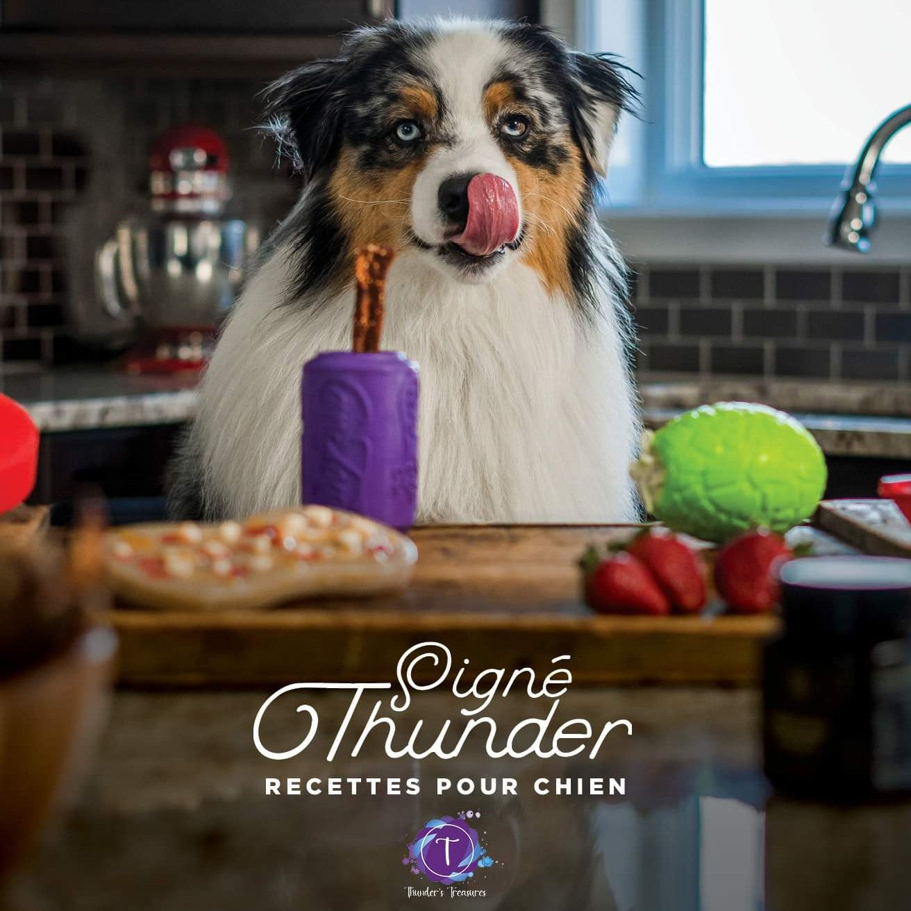 Livre de recettes - Signé Thunder