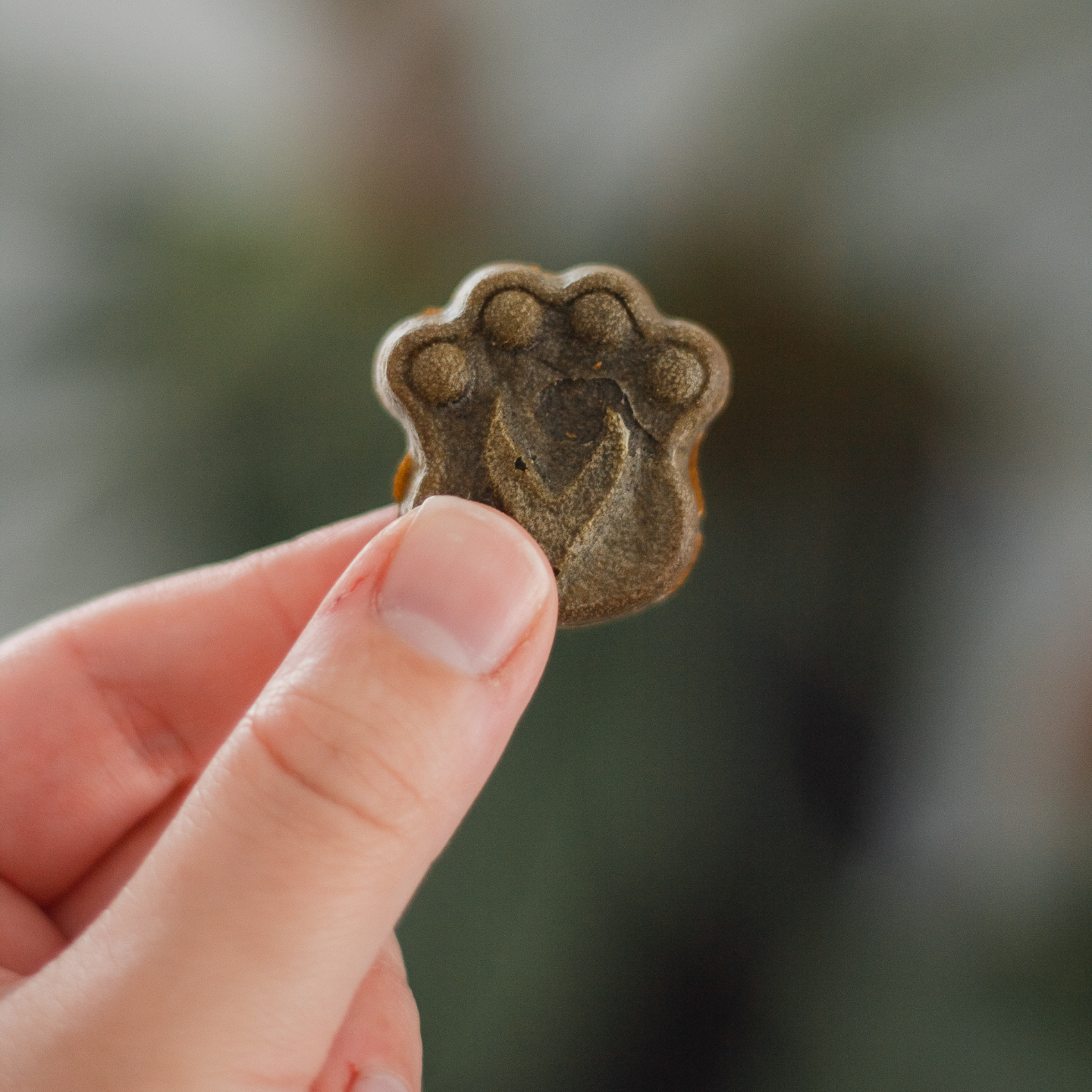 Bouchées fonctionnelles - Moringa et Omega 3