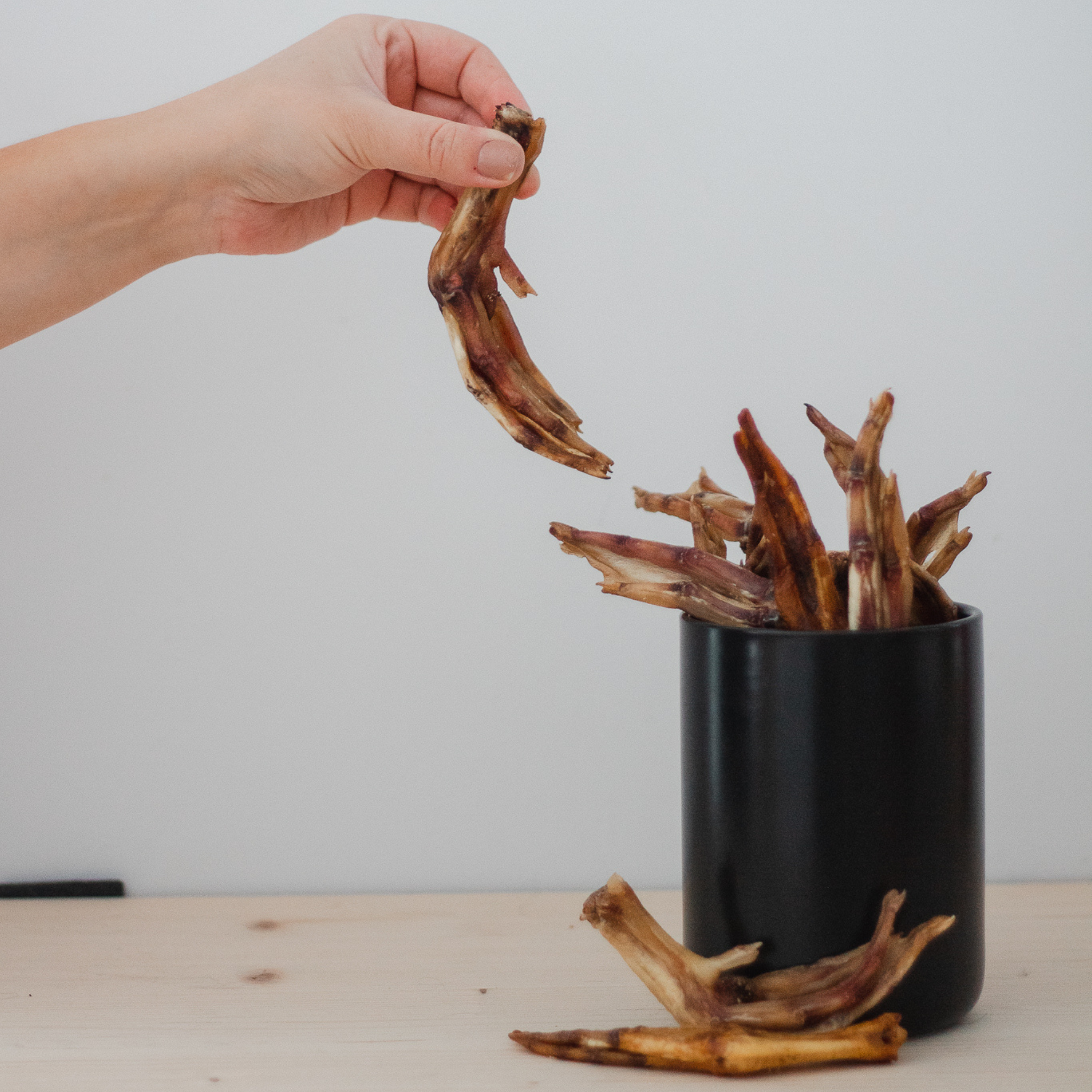 Patte de canard - WaWWaw