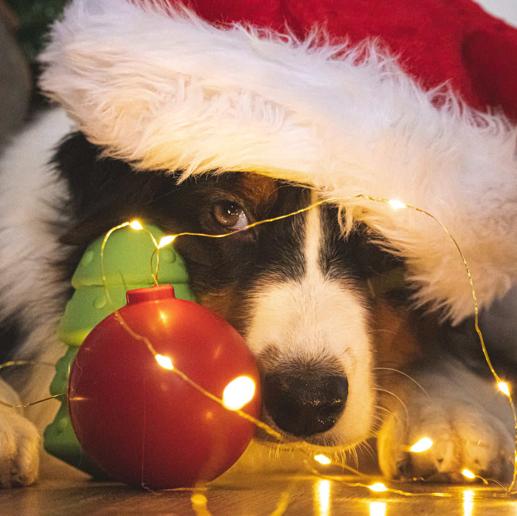 Noël