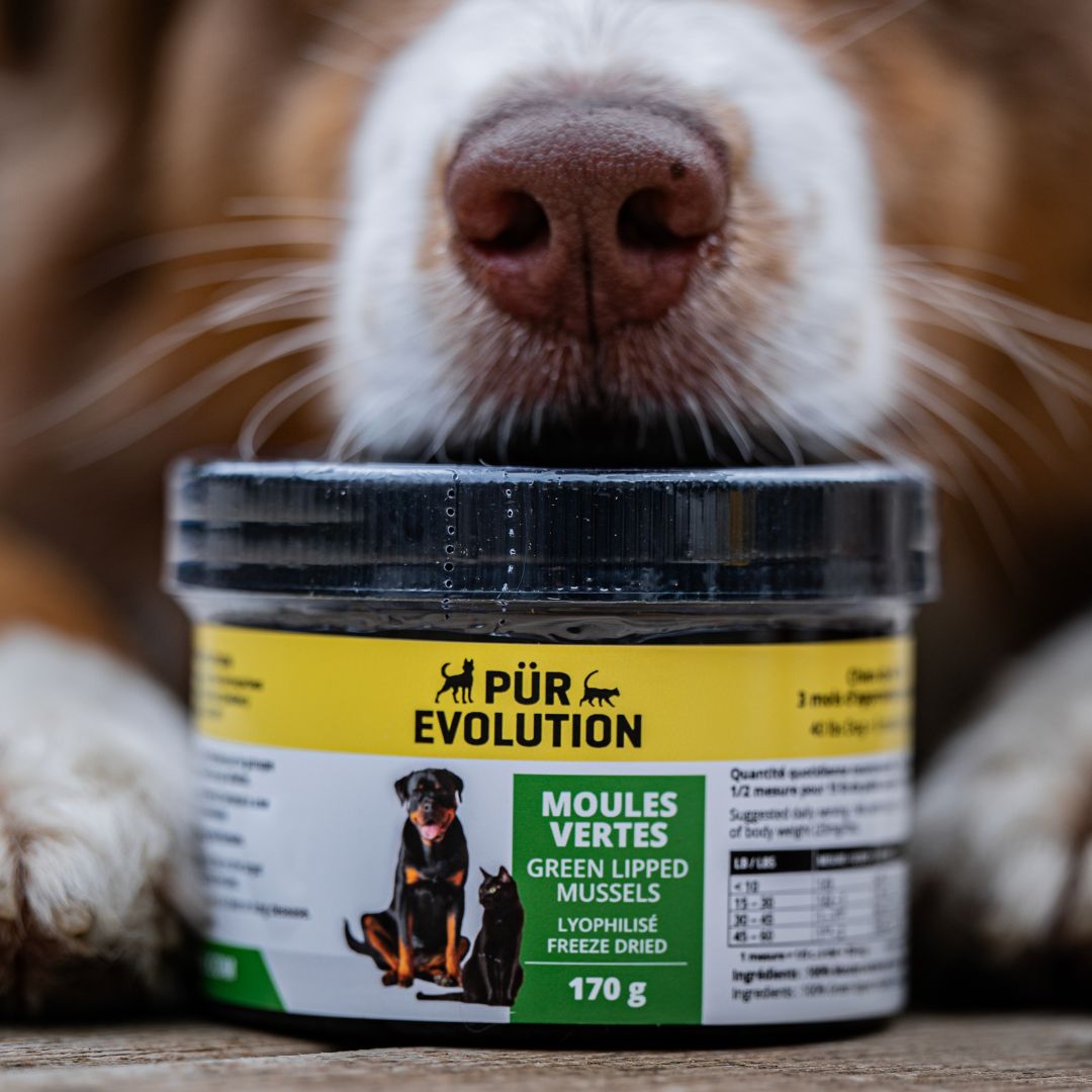 Suppléments et rehausseurs