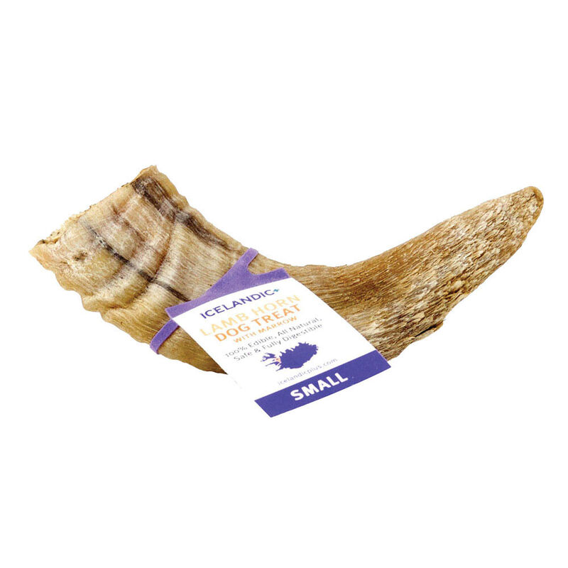 Corne d'agneau farci de moelle - Icelandic+