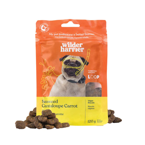 Biscuits végétaliens - Wilder Harrier