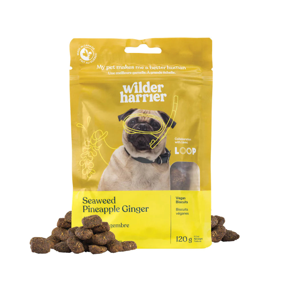 Biscuits végétaliens - Wilder Harrier