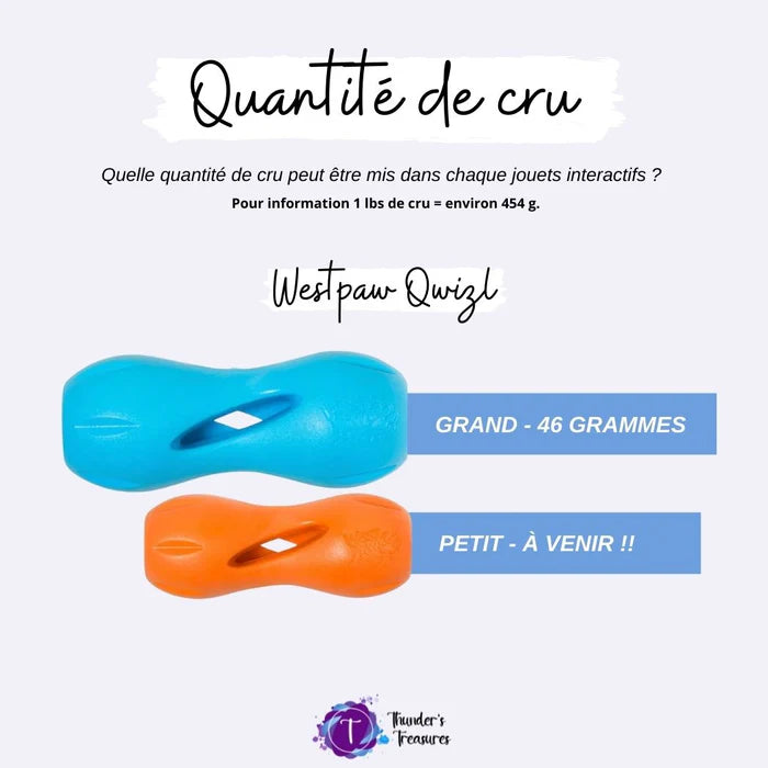 Qwizl Lavande ÉDITION LIMITÉE - West Paw