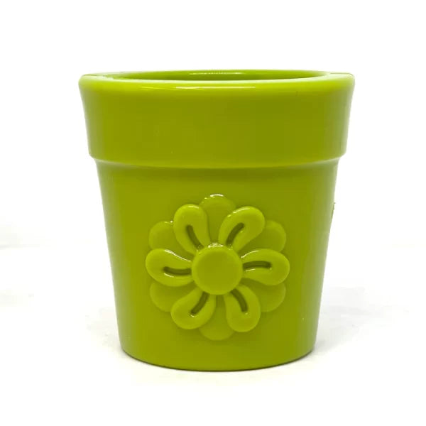 Pot de fleur