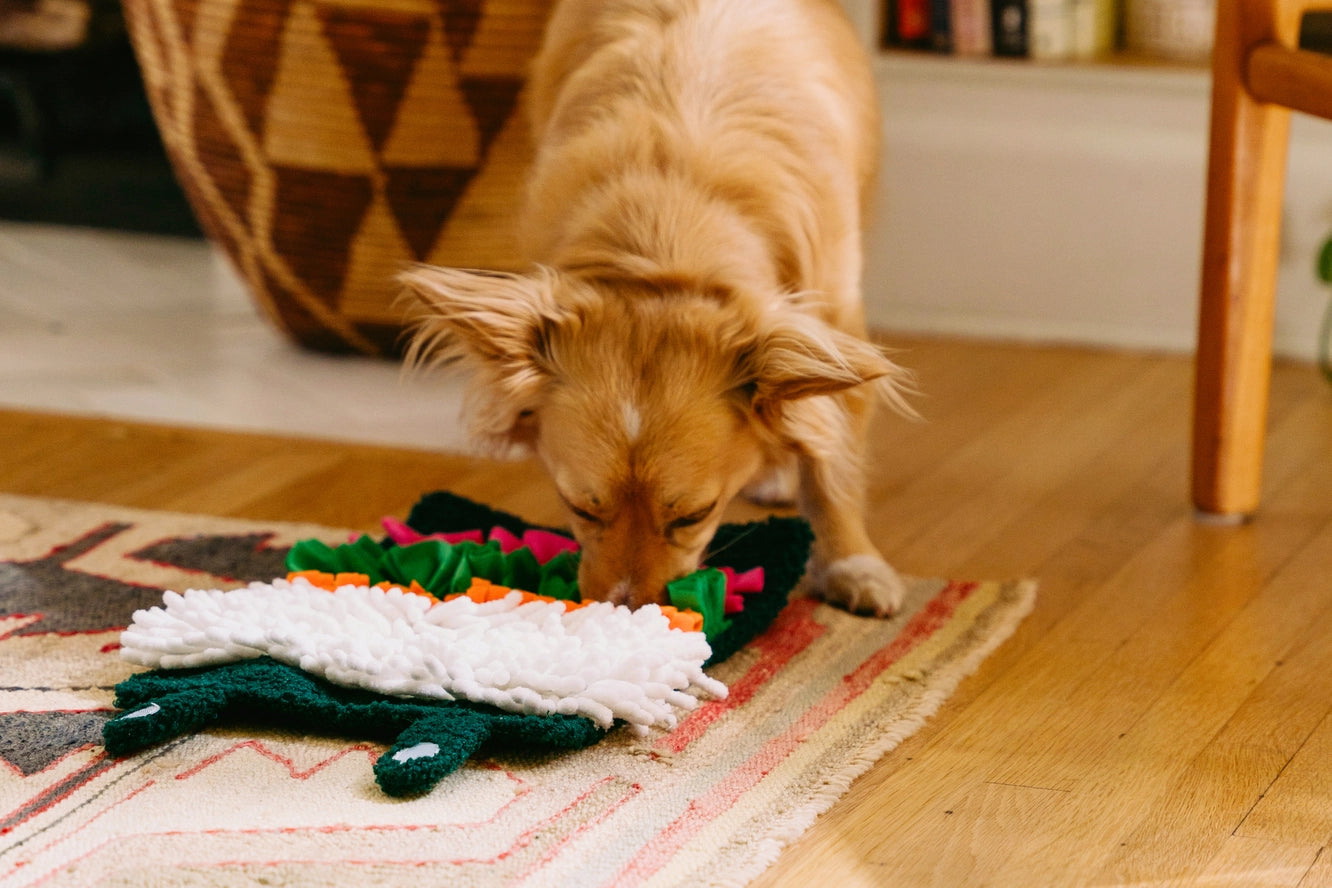 Tapis de fouille Sushi - Zippy Paws