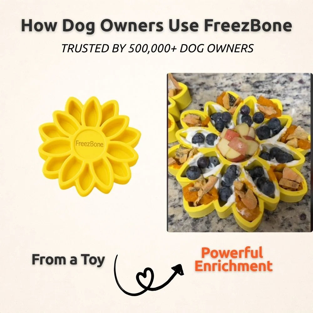 FreezSunflower - Freezbone