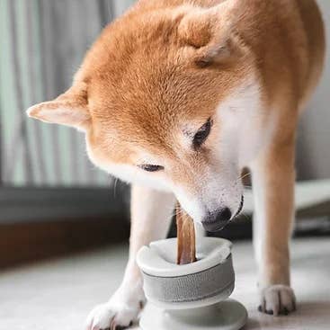 Grip - Support pour mastication