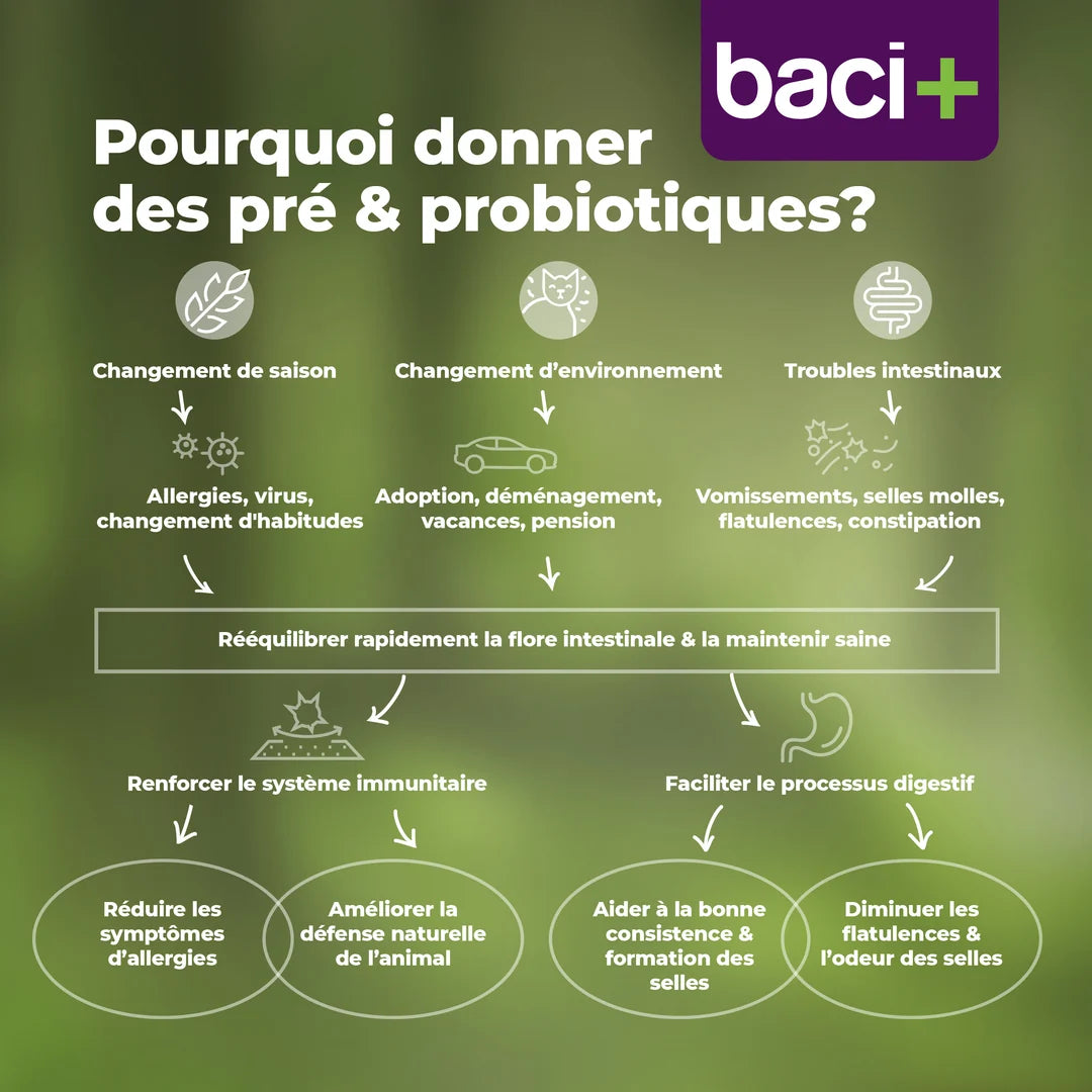 Trousse boost intestinal pour chat - Baci+