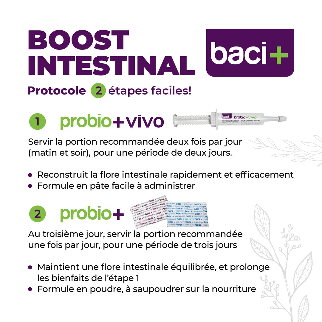 Trousse boost intestinal pour chat - Baci+