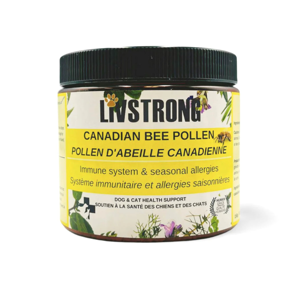 Pollen d'abeille canadien