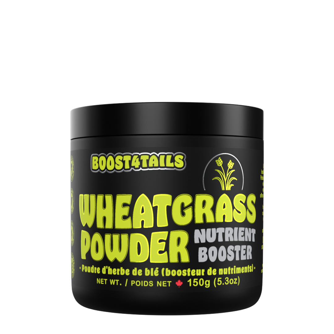 Supplément d'herbe de blé - Boost 4 Tails