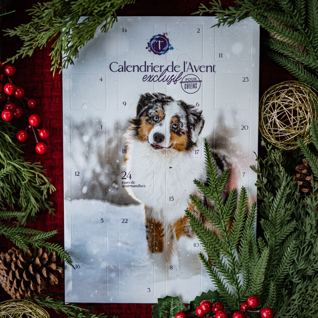Calendrier de l'avent exclusif Thunder's Treasures (PRÉVENTE)