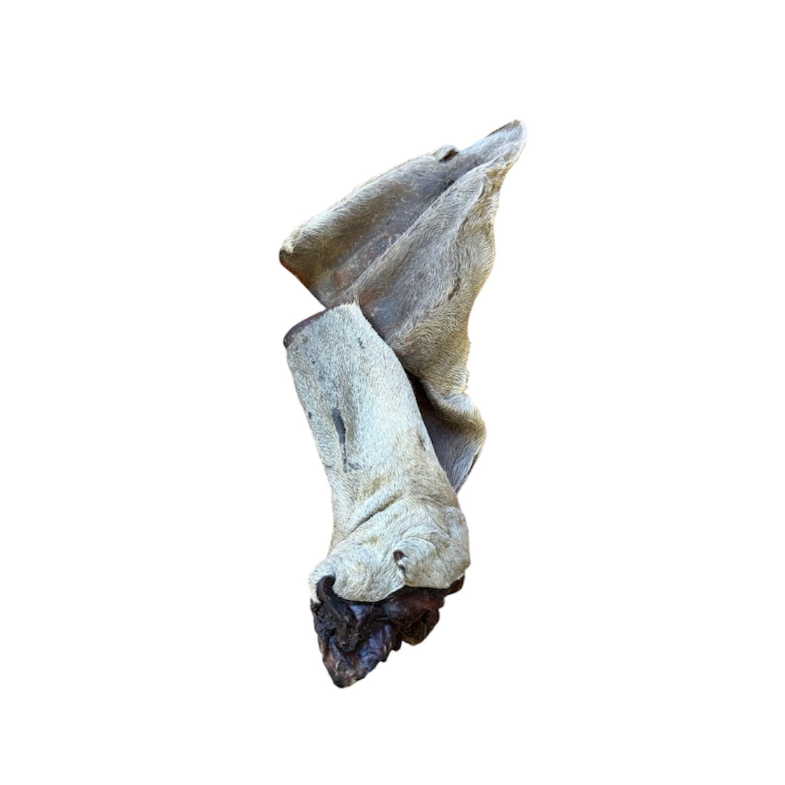 IMPARFAIT - Oreille de boeuf géante avec fourrure  - Vrac pour chien