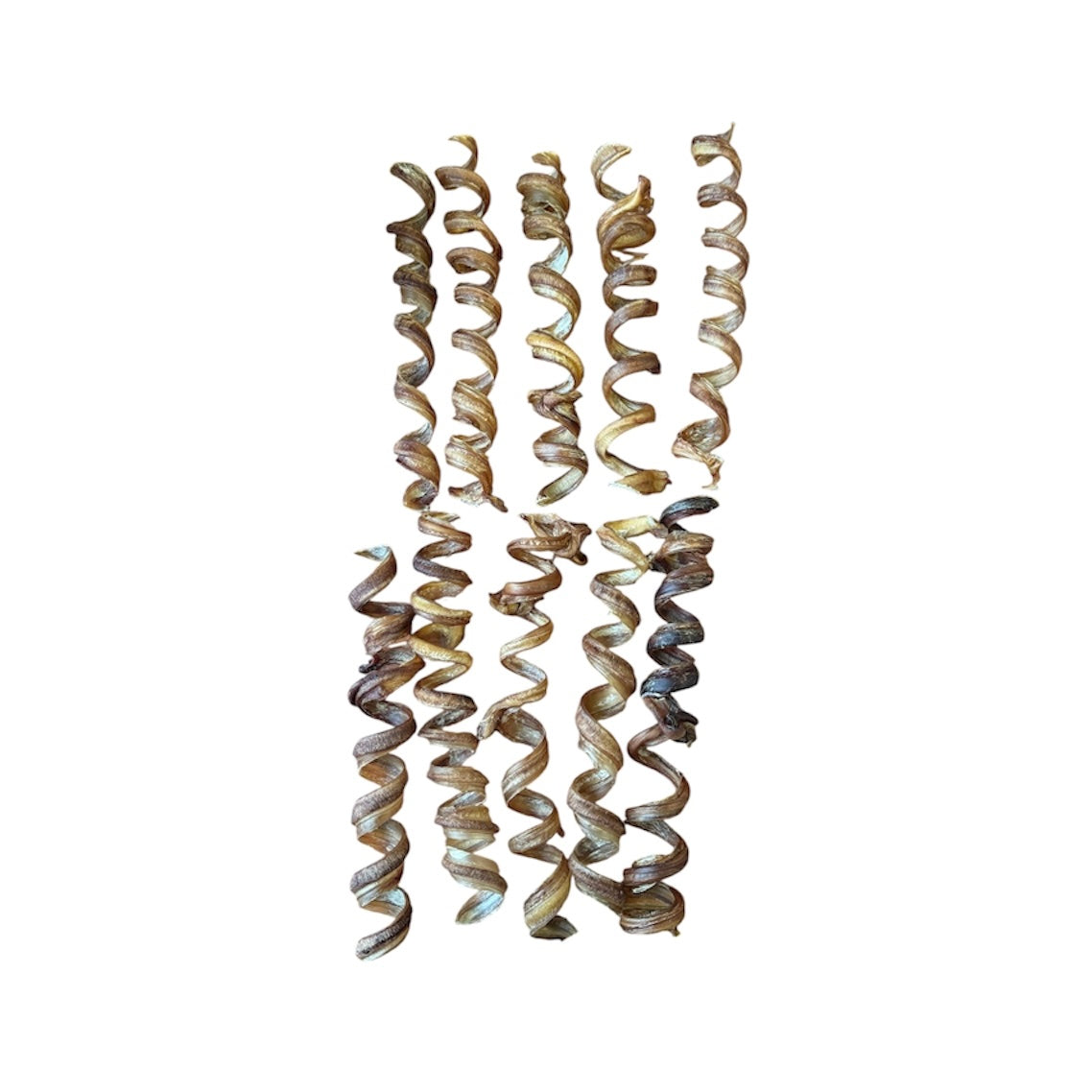 Paquet économique de bully stick spirale 12 "(10) - Vrac pour chien