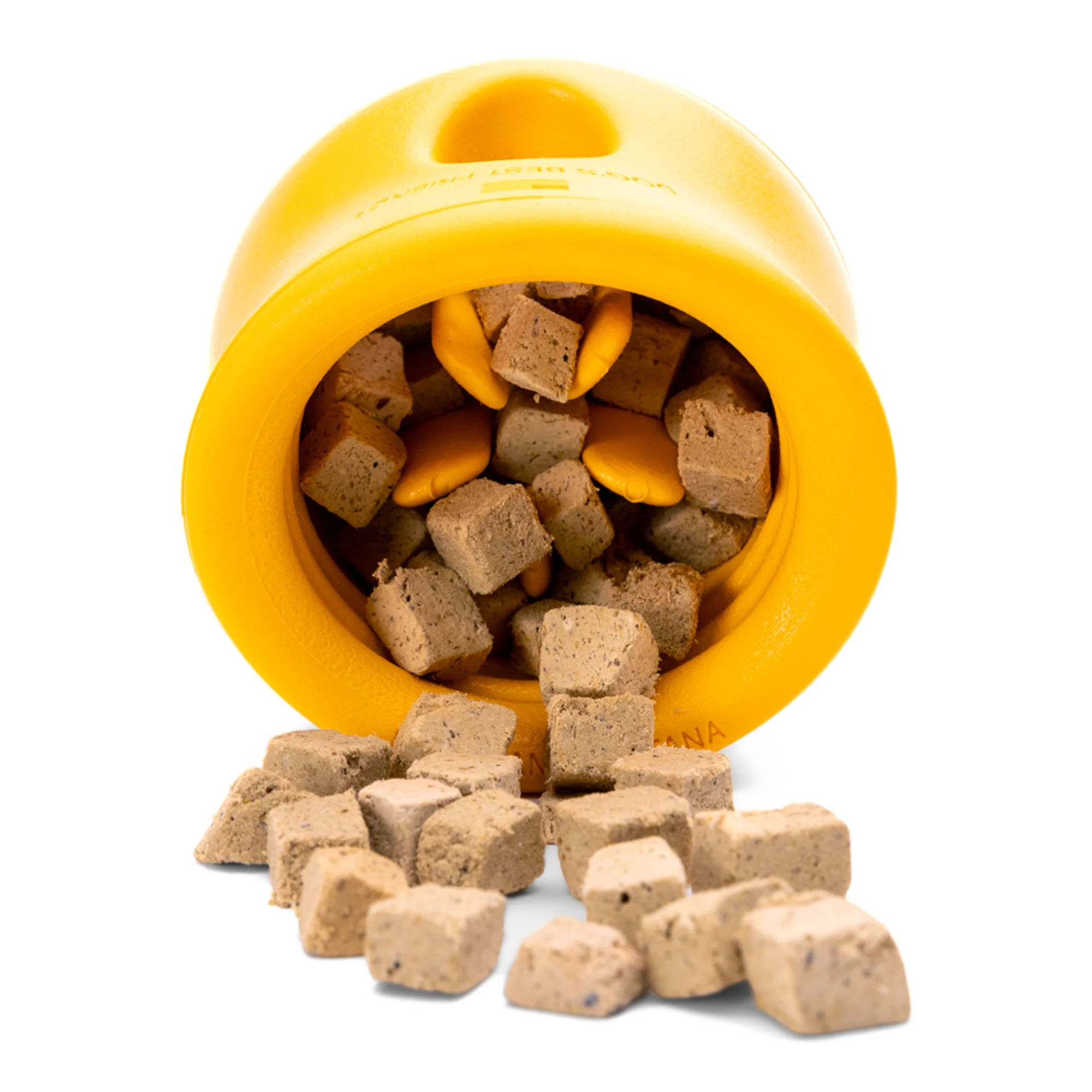 Toppl Édition Limitée Automne - West Paw