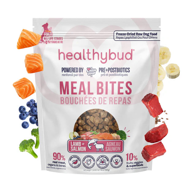 Bouchées de saumon et agneau lyophilisées - Healthybud