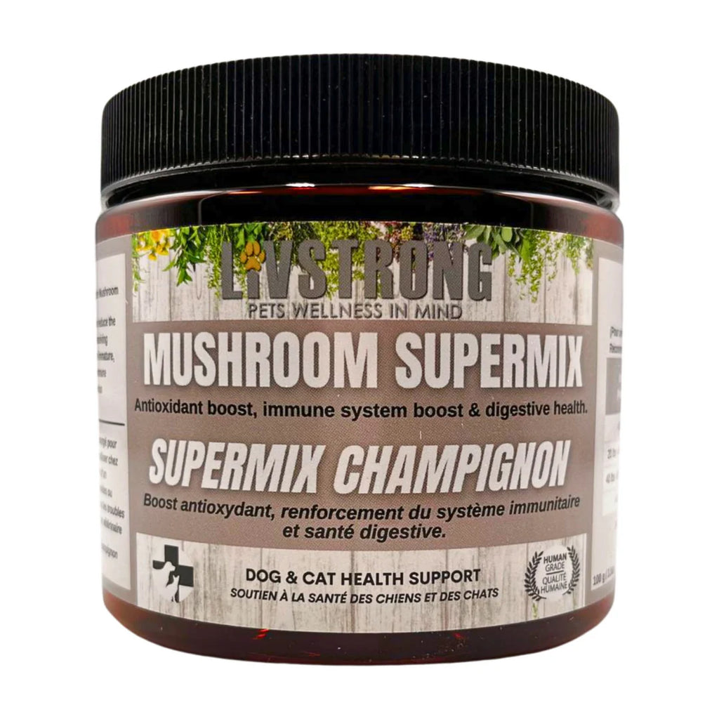 Supermix de champignon