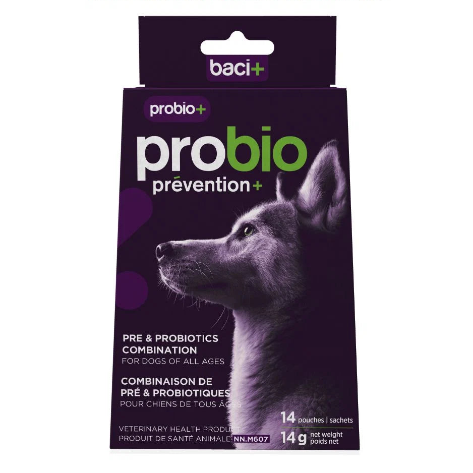 Probio+ pré et probiotiques pour chiens Probio - Baci +