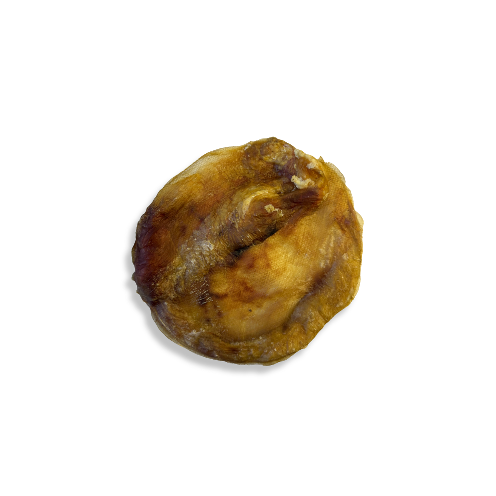 Disque de vessie - Vrac pour chien