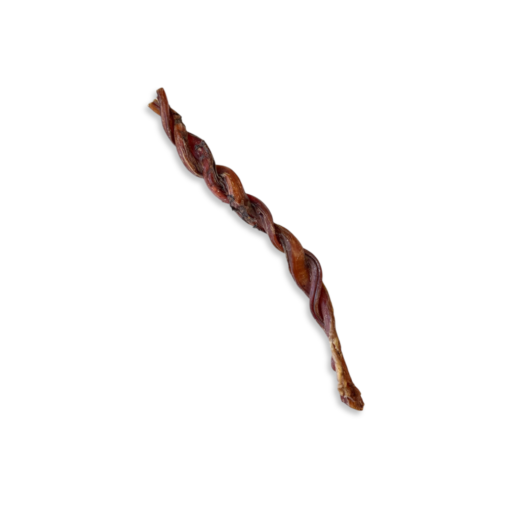 Torsade doublée de pizzle de veau 12"