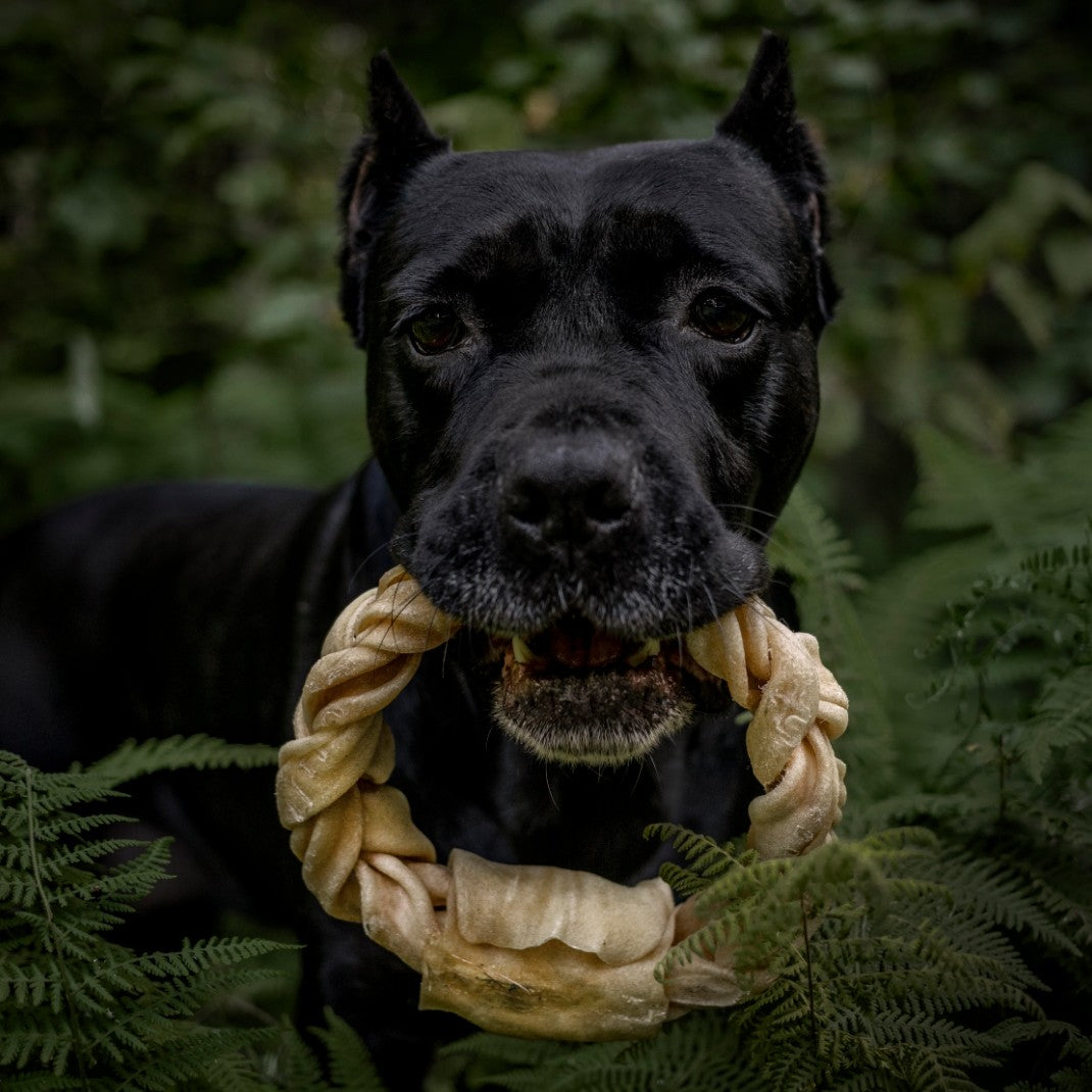 Anneau tressé de joue de buffle