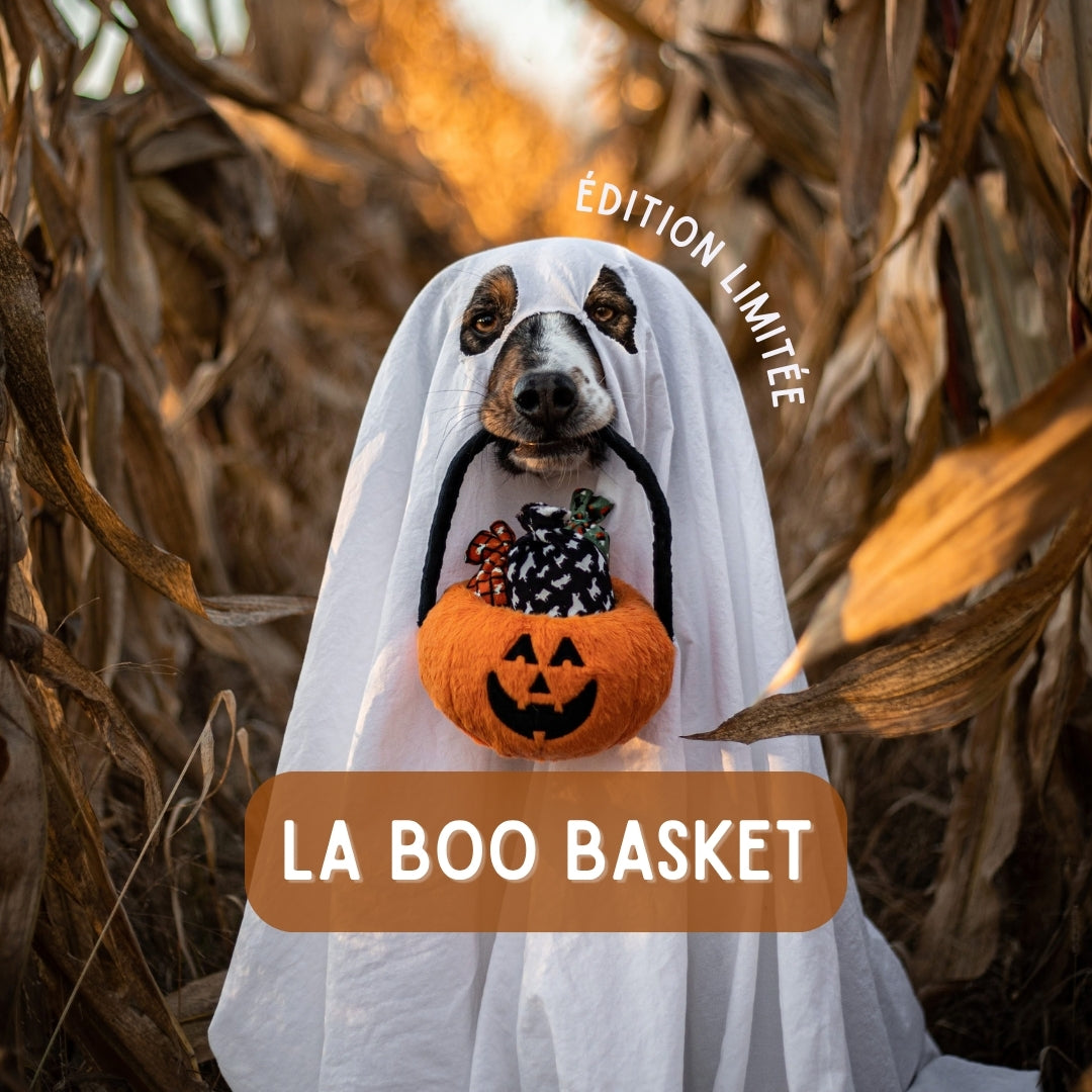 Boo Basket - Édition Limité