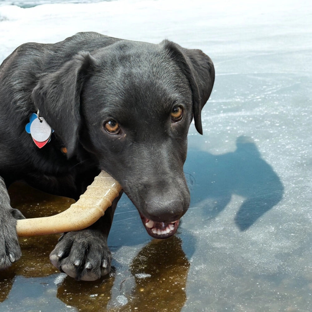 Bâton de hockey ultra durable - Soda Pup