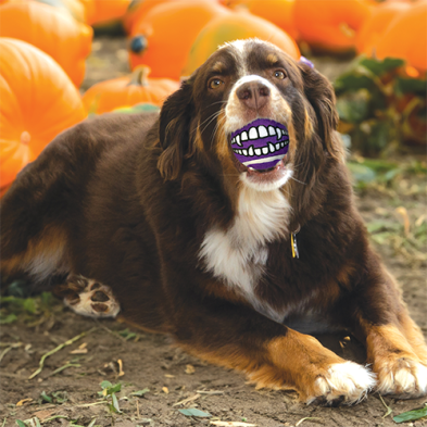 trio de balles d'Halloween - Kong