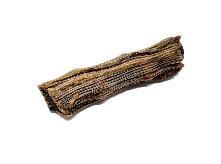 Queue de kangourou 7-9" - Open Range