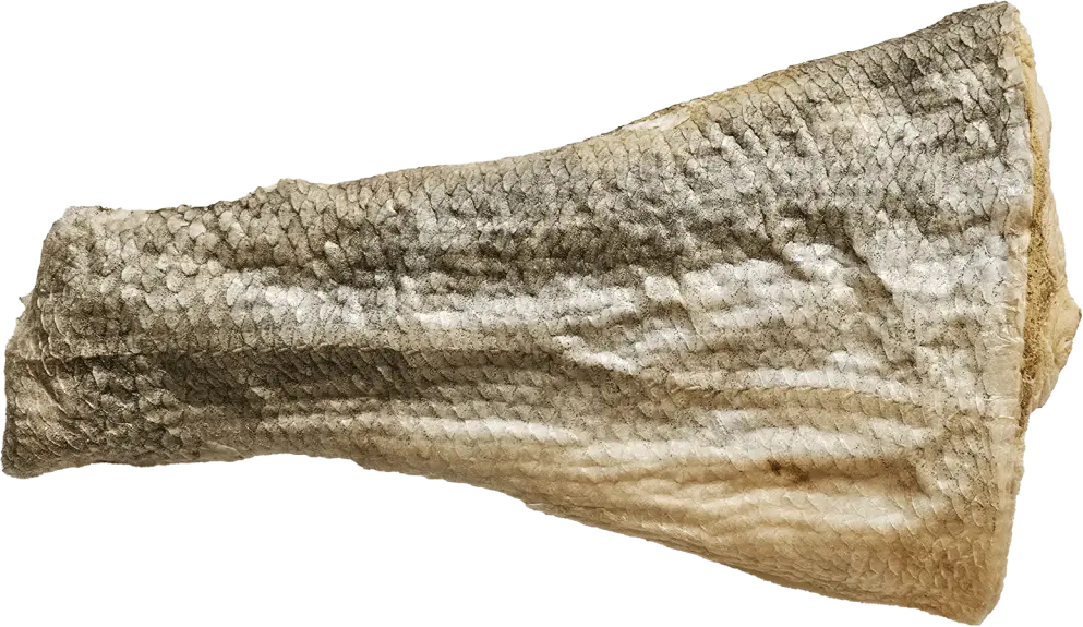 Filet de carpe lyophilisé - Vital Essentials