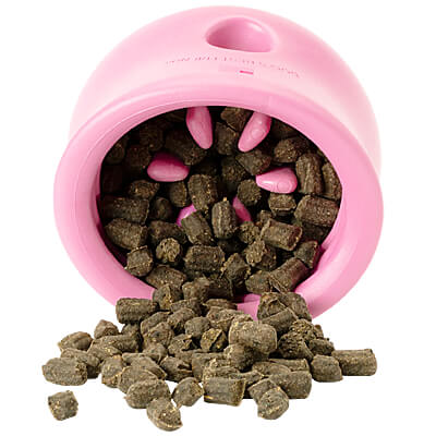 Toppl Édition Limitée- West Paw