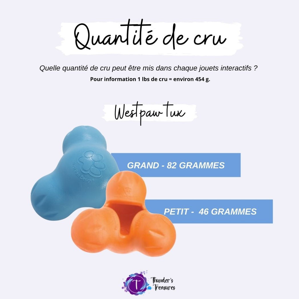 Jouets interactifs 